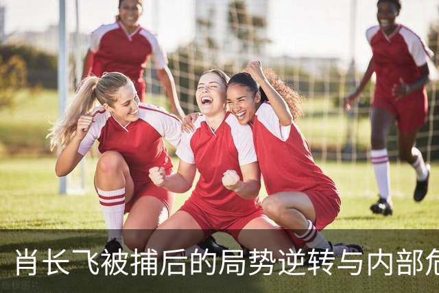 肖长飞被捕后的局势逆转与内部危机